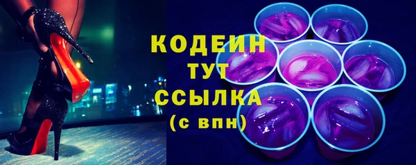 apvp Бородино
