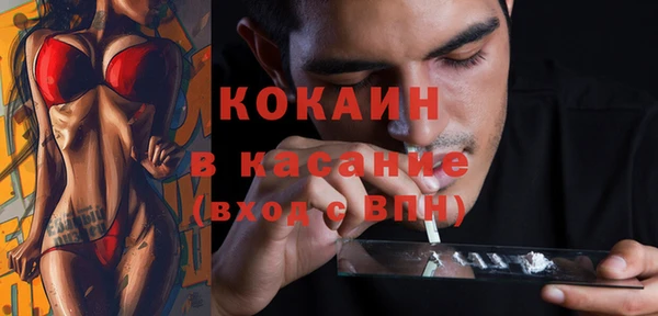 apvp Бородино