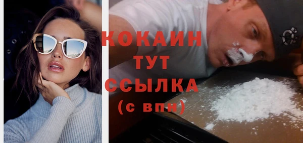 apvp Бородино