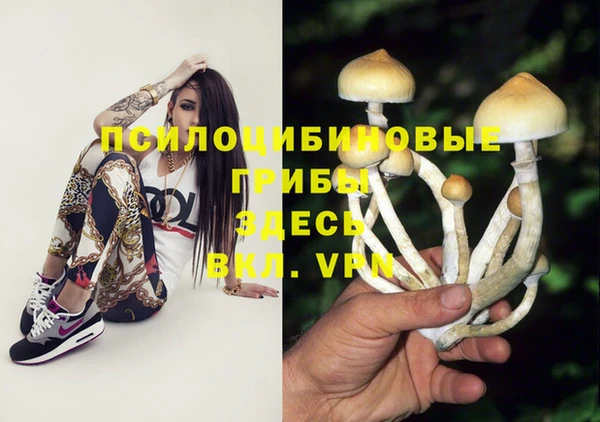 бутират Бугульма