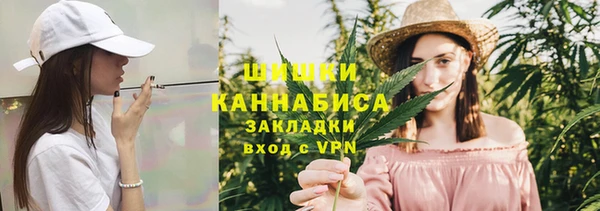 твердый Бронницы