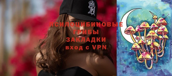 твердый Бронницы