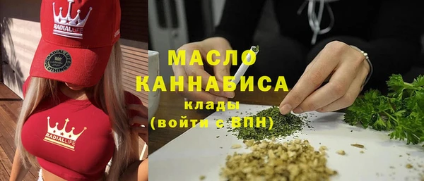 apvp Бородино