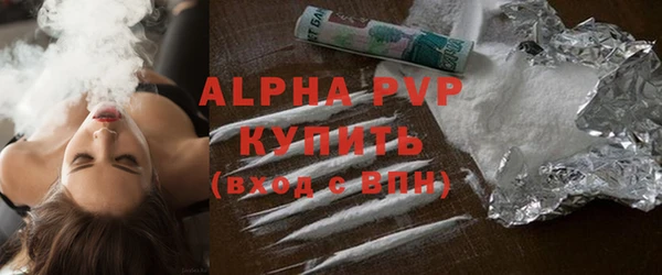 apvp Бородино
