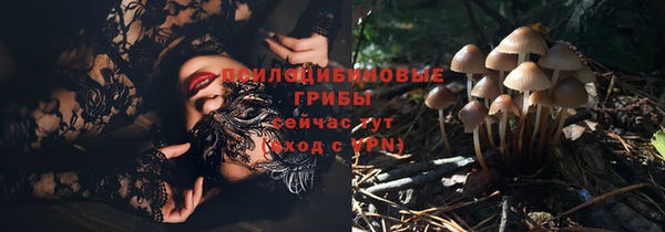 твердый Бронницы