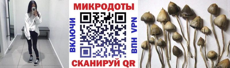 что такое наркотик  Надым  Галлюциногенные грибы Magic Shrooms 